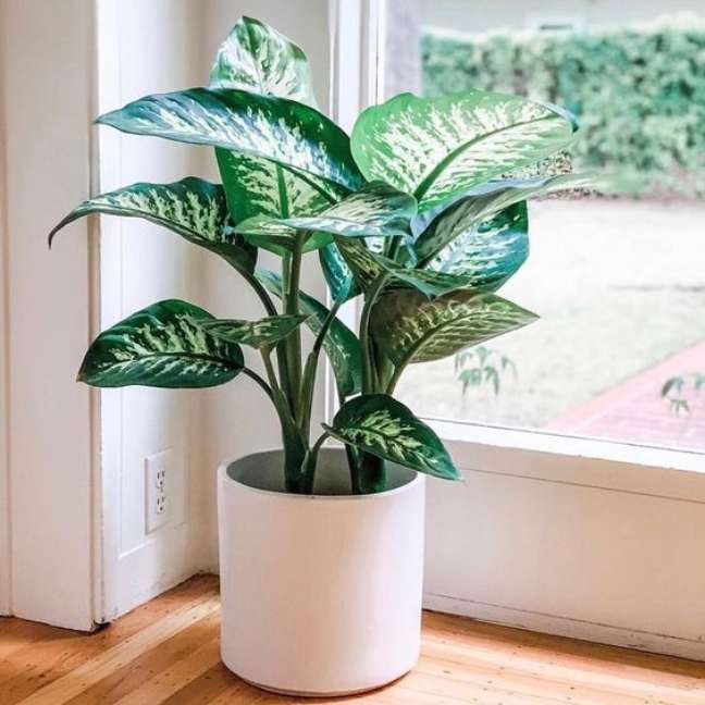 Reprodução/Pinterest / Casa.com