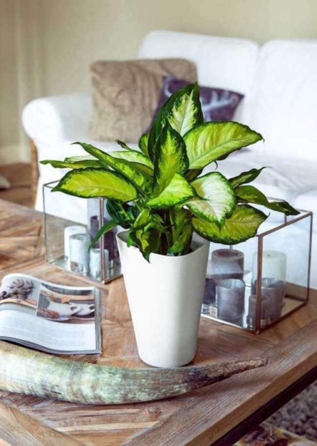 Reprodução/Pinterest / Casa.com