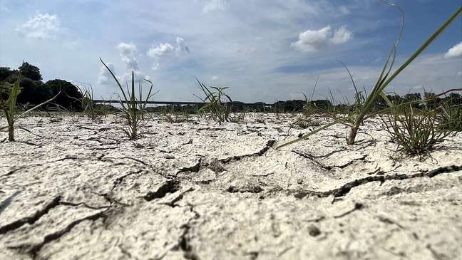 Lack of rain has dried up parts of the Po River in northern Italy