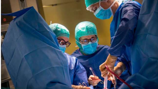 Hysterectomy removes all organs affected by endometriosis Hysterectomy removes all organs affected by endometriosis