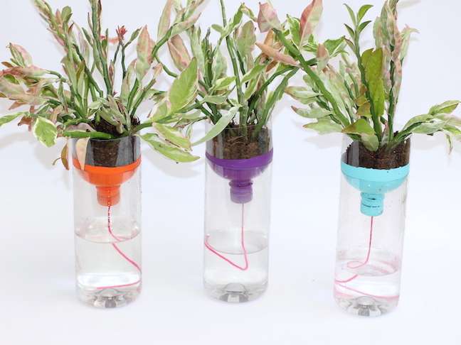 How to make a recycled self-watering pot How to make a recycled self-watering pot