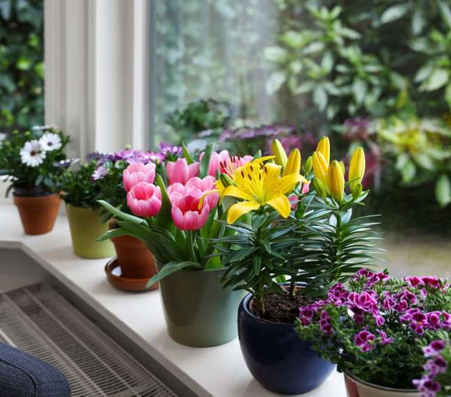 Plants in decoration are a trend that shouldn't go away anytime soon. 
