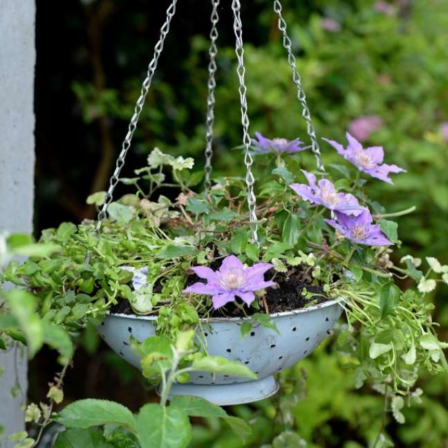 Create a planter with integrated drainage by reusing a colander.