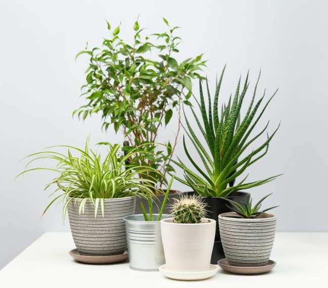 Adding elements of nature to the décor can contribute to the well-being of the residents. Adding elements of nature to the décor can contribute to the well-being of the residents.