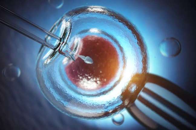 The search for the “perfect pregnancy” has tripled the number of frozen embryos in Brazil