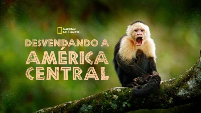 The fauna and flora of Central American countries are the theme of this Disney+ series.