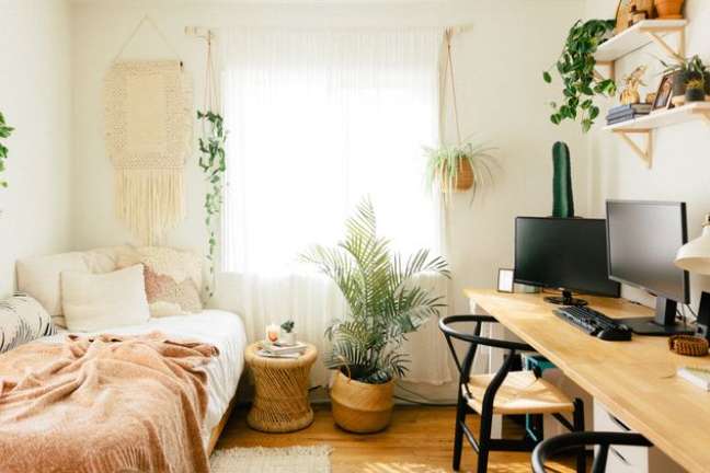 7 plants that help you sleep better 7 plants that help you sleep better