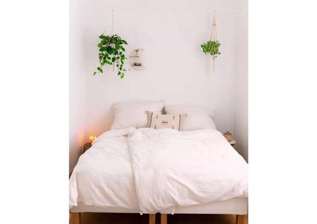 Plants in hanging baskets add warmth to even the most rigid spaces and are a nice feature for those who don't like color but want to add some life to the room. Plants in hanging baskets add warmth to even the most rigid spaces and are a nice feature for those who don't like color but want to add some life to the room.