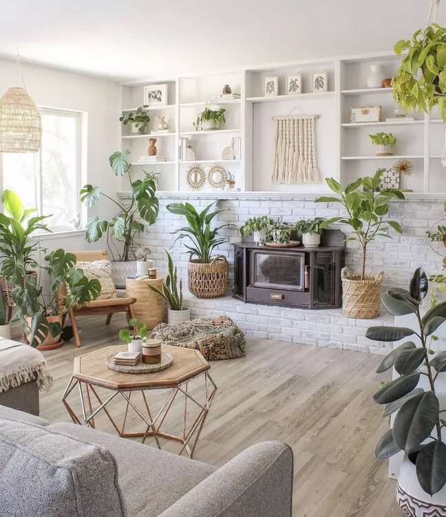 Do you know the difference between direct and indirect sunlight for plants?