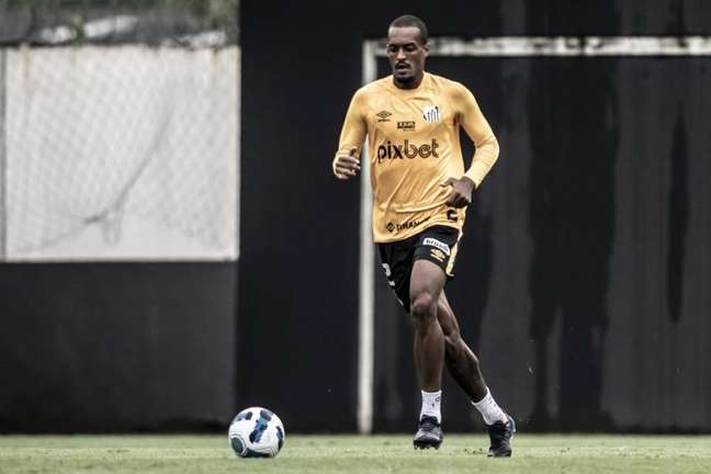 Luiz Felipe pode voltar ao time do Peixe contra o Fluminense (Foto: Ivan Storti/Santos)