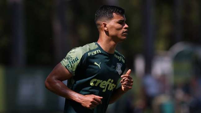 Danilo Barbosa jogou no Palmeiras no ano passado (Foto: Cesar Greco/Palmeiras)