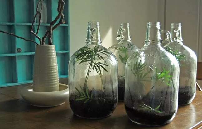 Reprodução/TreeHugger / Casa.com