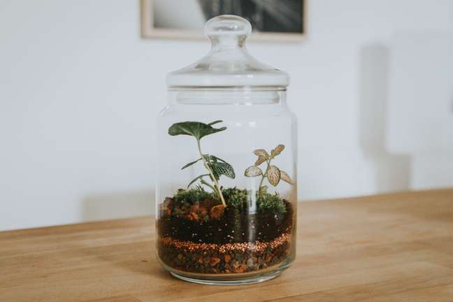 Maud Bocquillod/Unsplash / Casa.com