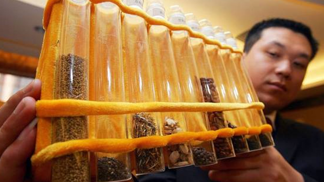 A China lançou milhares de sementes ao espaço a bordo de espaçonaves na esperança de desenvolver safras novas e melhores