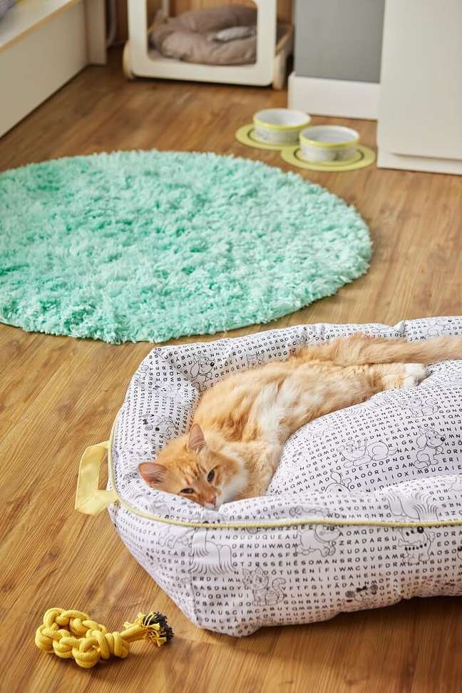 7. Tapetes ou carpetes: se você tem animais domésticos ou filhos pequenos em casa, o tapete pode ser a melhor escolha. Fonte: Tok&Stok