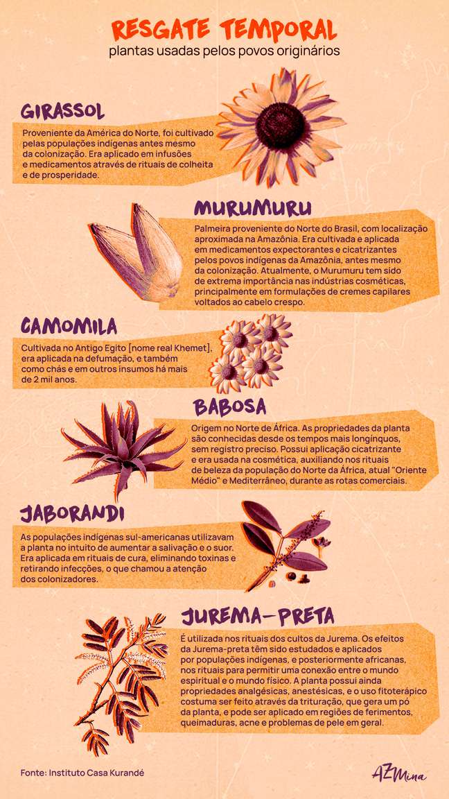 Plantas usadas pelos povos originários. Fonte: Instituto Casa Kurandé