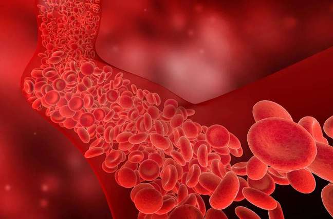 Glóbulos vermelhos do tipo Rh Nulo não têm antígenos do Fator Rh (Imagem: Claudioventrella/envato)