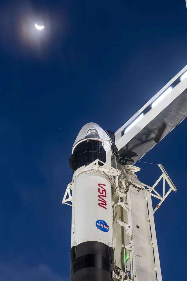 Nave Crew Dragon usada na missão Crew-1 (Imagem: Reprodução/SpaceX)