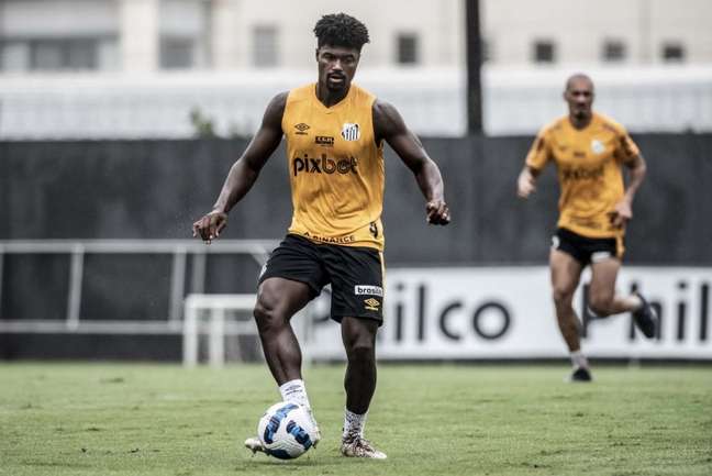 O zagueiro Eduardo Bauermann vai reforçar o Santos contra o Coritiba (Foto: Ivan Storti/Santos)
