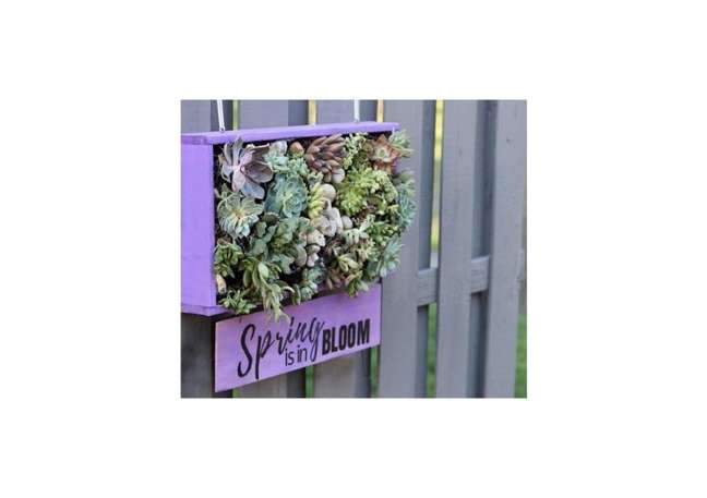 Vertical succulent garden. Vertical succulent garden.