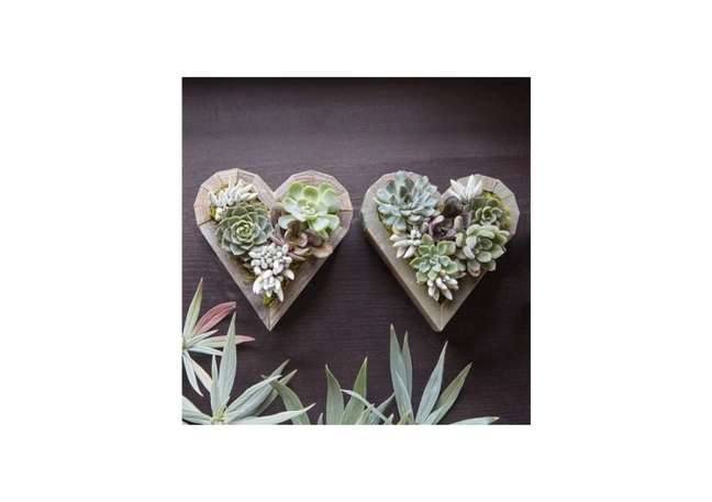 Heart-shaped succulent planter. Heart-shaped succulent planter.