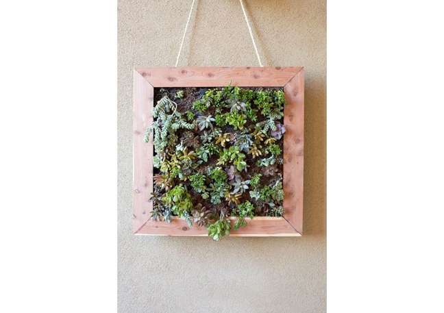 DIY vertical garden of wooden succulents. DIY vertical garden of wooden succulents.