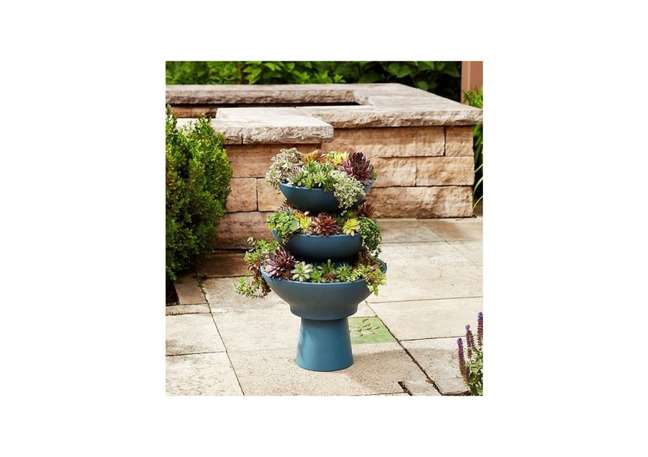 Three-layer succulent bowl. Three-layer succulent bowl.