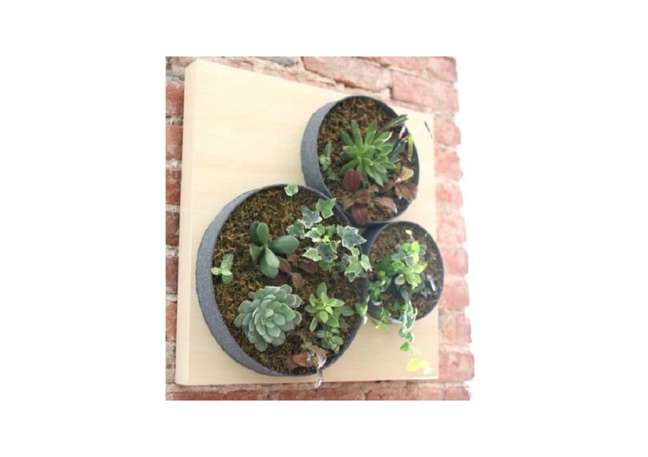 Creative vertical succulent planter. Creative vertical succulent planter.