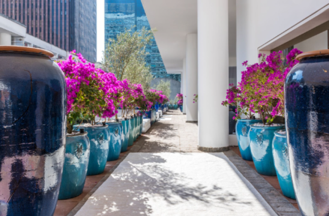 Environment by landscape architect Luciano Zanardo at CASACOR SP 2022 Environment by landscape architect Luciano Zanardo at CASACOR SP 2022