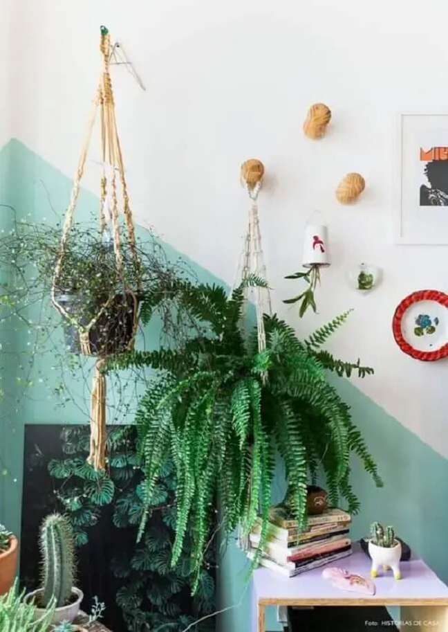 9. Bring some nature indoors by including the American fern in the decor. Source: domestic stories 9. Bring some nature indoors by including the American fern in the decor. Source: domestic stories