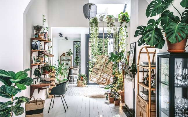 LCARSCom/Reprodução / Casa.com