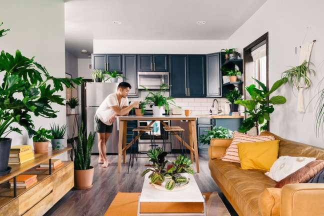 Reprodução/Bloomscape / Casa.com