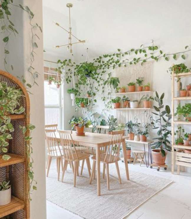Kelly Phan/the spruce / Casa.com