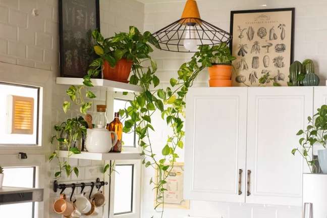 Ali Elshabrawi/the spruce / Casa.com