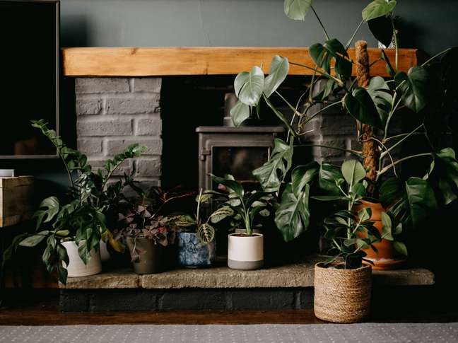 Annie Spratt/Unsplash / Casa.com