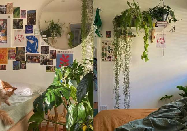 Let your plants grow large. Let your plants grow large.