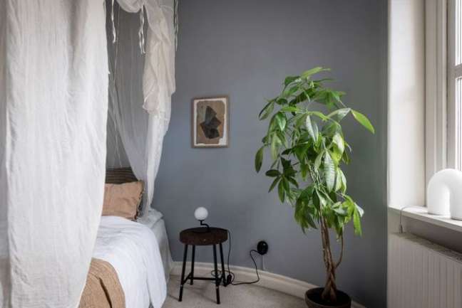 COCO LAPINE DESIGN/My Domaine / Casa.com