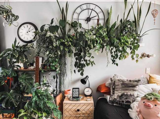 @mybedroomjungle/the spruce / Casa.com