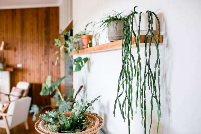 Kara Riley/the spruce / Casa.com