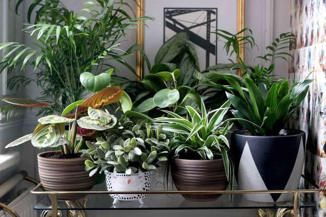 Swoon Worthy/the spruce / Casa.com