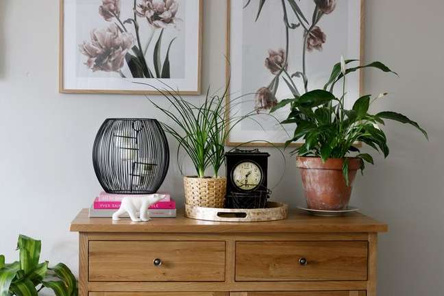 Swoon Worthy/the spruce / Casa.com