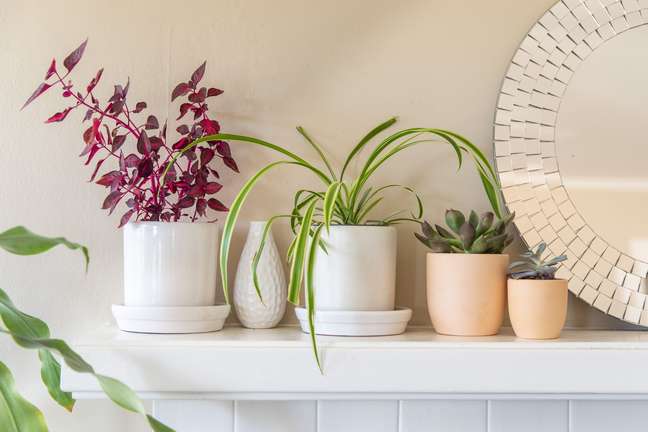 82 spaces decorated with plants 82 spaces decorated with plants