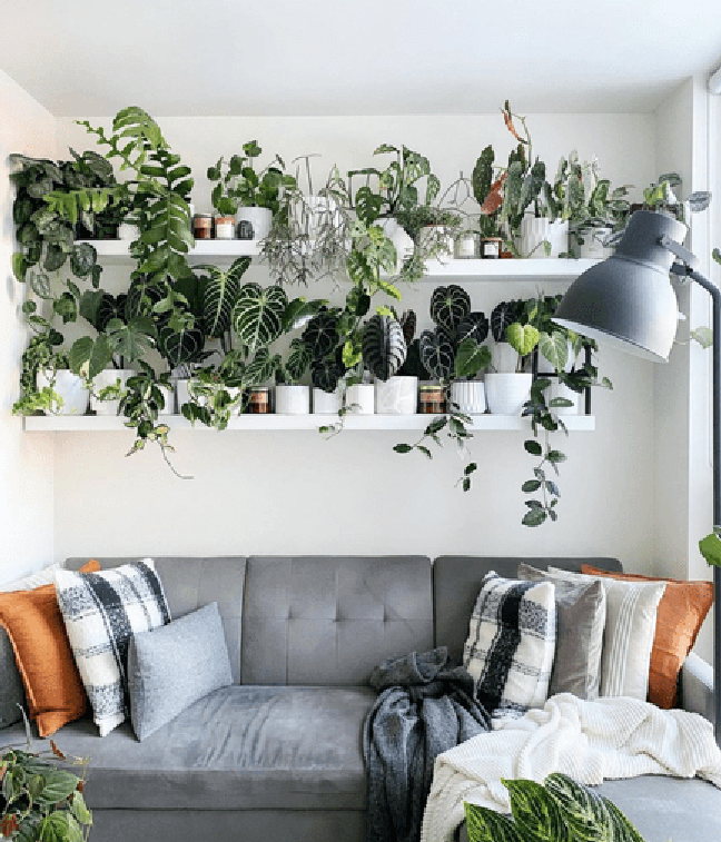Dorrington Reid/the spruce / Casa.com