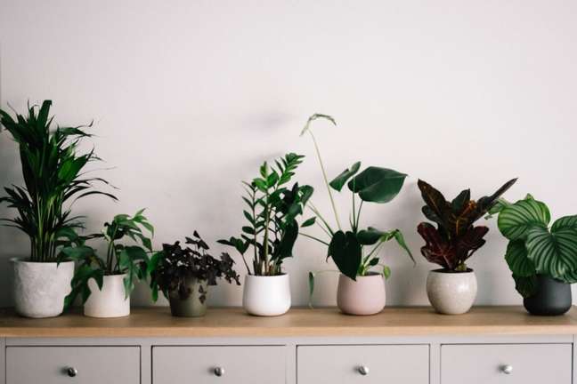 Annie Spratt/Unsplash / Casa.com