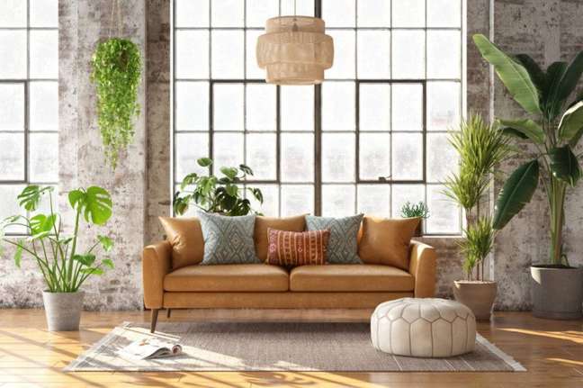 PLANTZ/Reprodução / Casa.com
