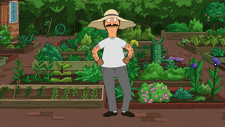 Buy Once: 12 vegetables you can grow for free Buy Once: 12 vegetables you can grow for free