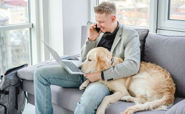 Telemedicine for pets: what it is and how it works Telemedicine for pets: what it is and how it works
