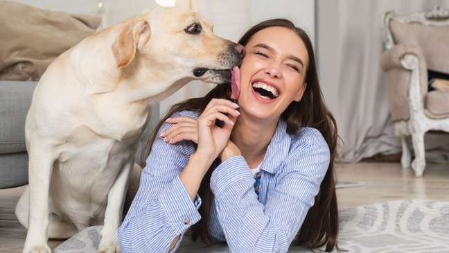 Why do dogs lick their owners?  explains the vet
