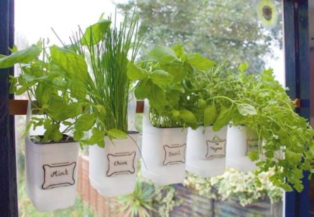 Don't throw out the milk bottles; instead, reuse them to create planters for your vertical garden. Don't throw out the milk bottles; instead, reuse them to create planters for your vertical garden.