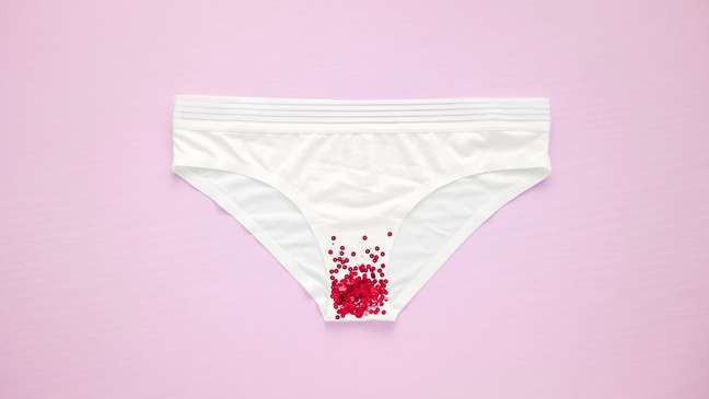 A primeira menstrua&ccedil;&atilde;o costuma ocorrer entre 10 e 14 anos 